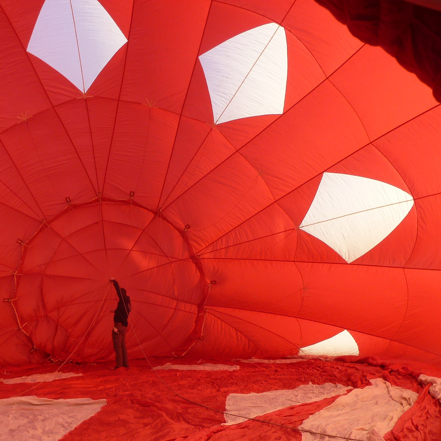 FB IMG 1627529941700